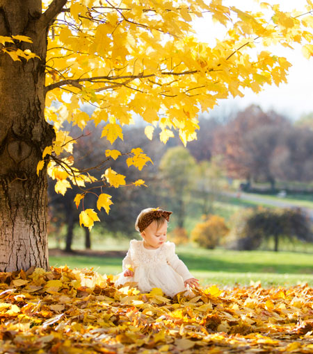 fall baby session